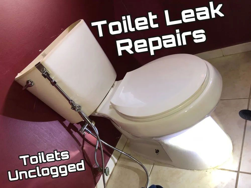 Affordable drain cleaning in Miami, FL by Sharscottyy Plumbing