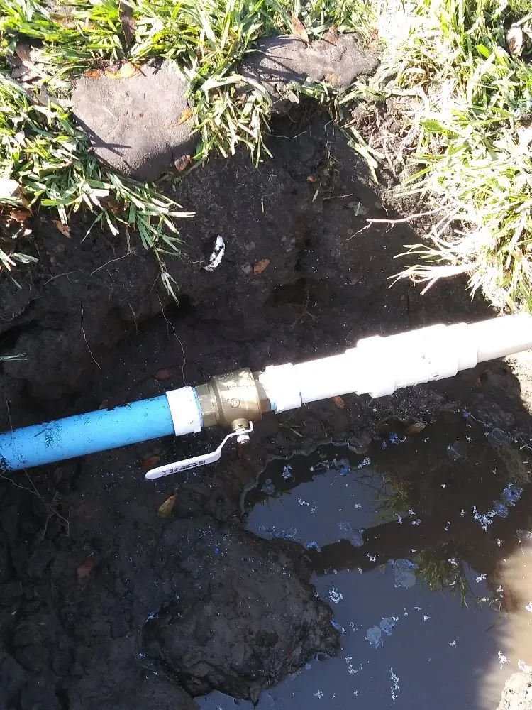 Slide of Shawn the Plumber