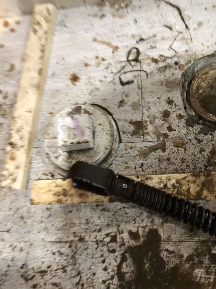 Slide of Shawn's Botany and Lanscaping