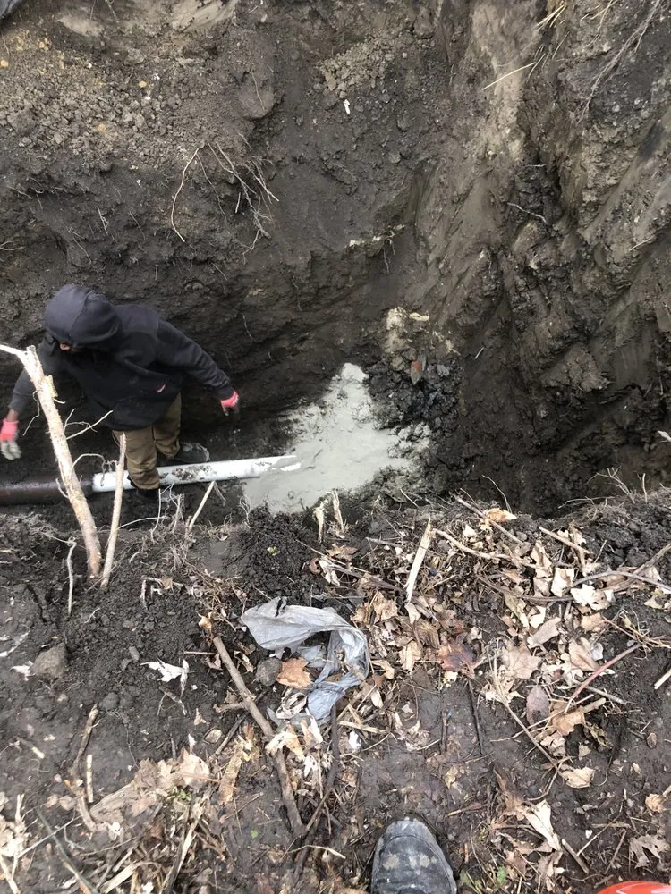 Slide of Shawn's Botany and Lanscaping