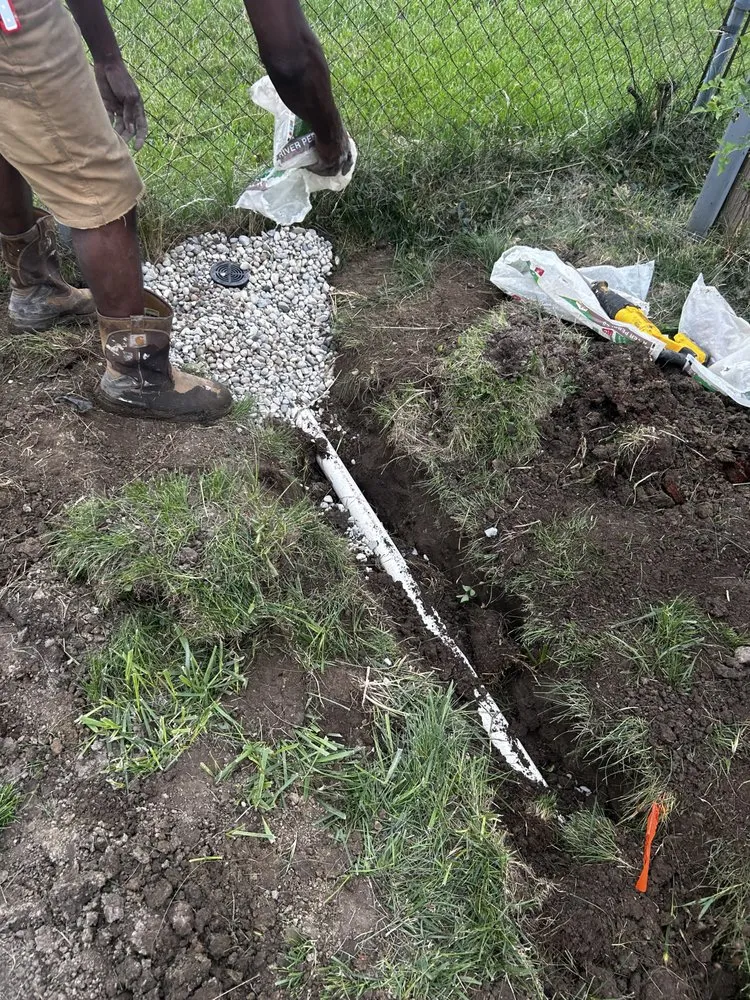 Slide of Shawn's Botany and Lanscaping