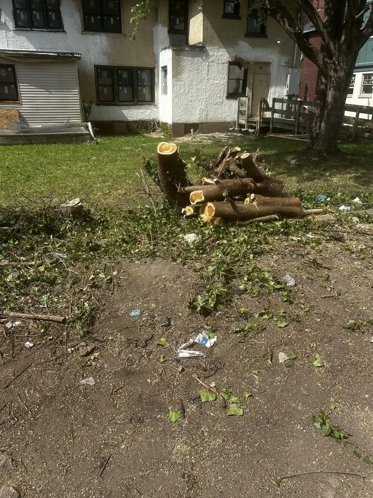 Professional leak detection experts serving Detroit, MI - Shawn's Botany and Lanscaping