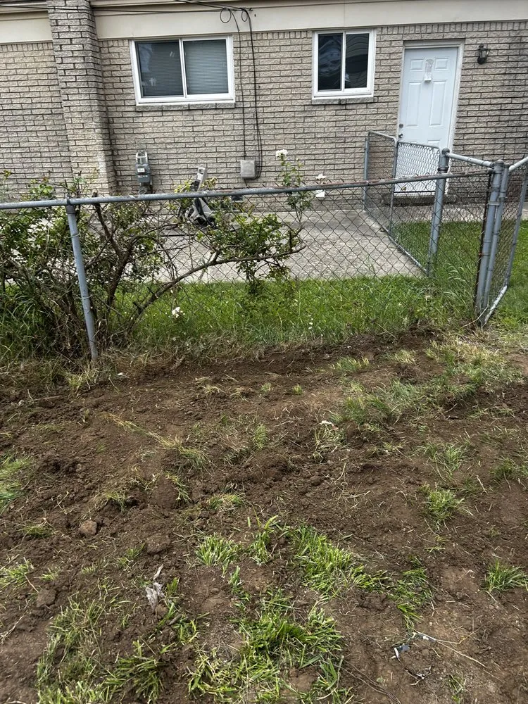 Professional drain cleaning service in Detroit, MI - Shawn's Botany and Lanscaping