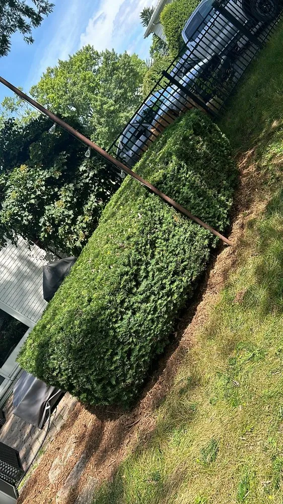 Slide of Shawn's Botany and Lanscaping