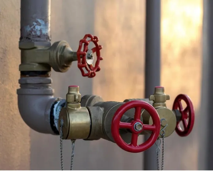 Slide of Shedrick The Plumber