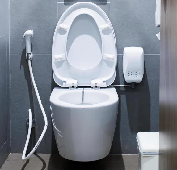 Slide of Shedrick The Plumber