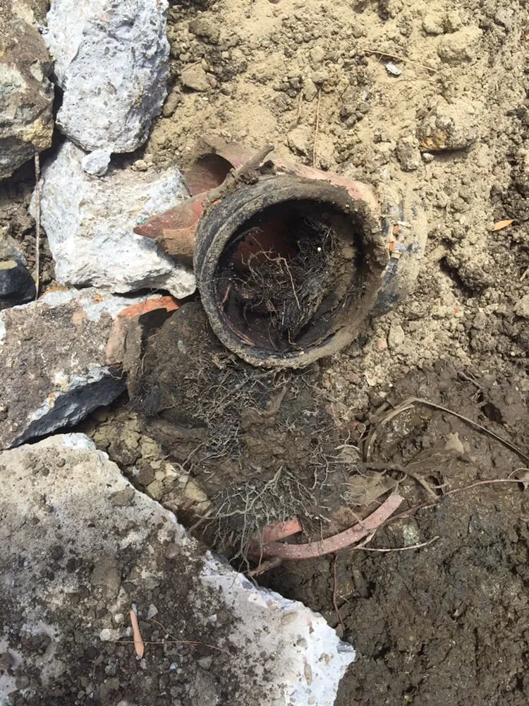 Top-rated pipe repair service in San Francisco, CA - Shedrick The Plumber