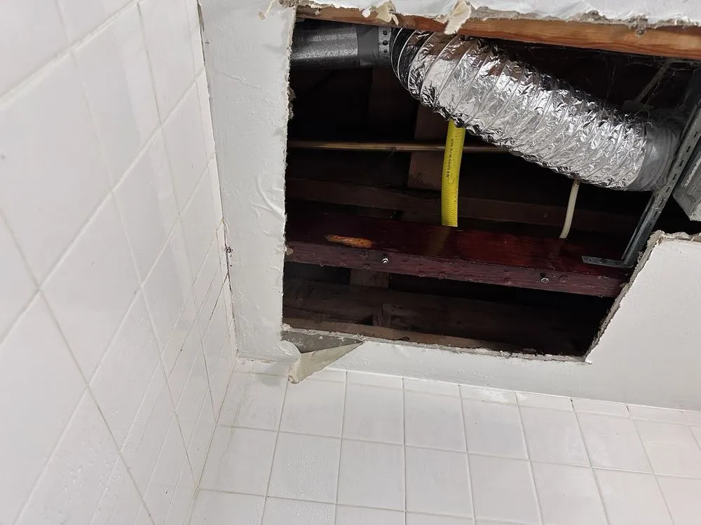 Slide of Shedrick The Plumber