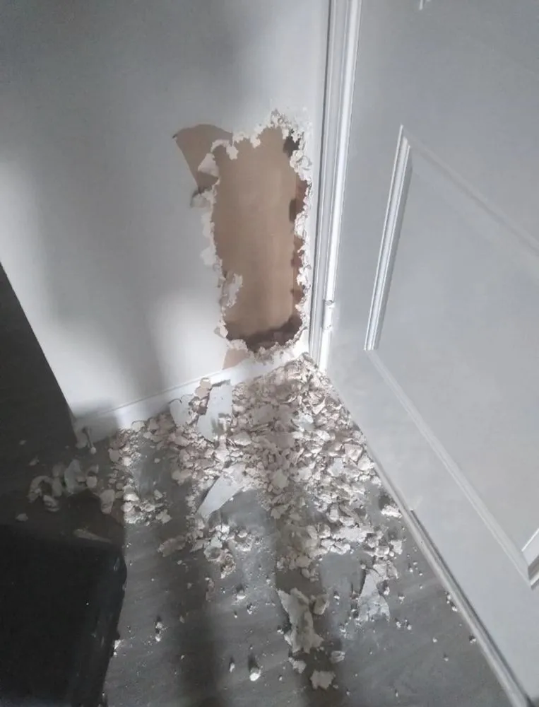 Slide of Sheentastic Solutions