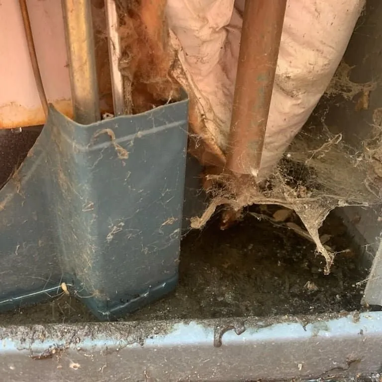 Slide of Sheldon Plumbing