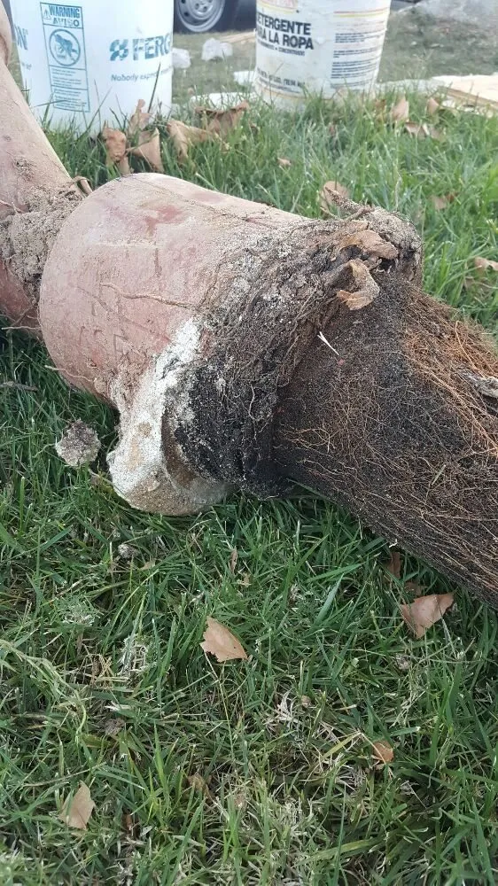 Slide of Shellback Plumbing and Drain