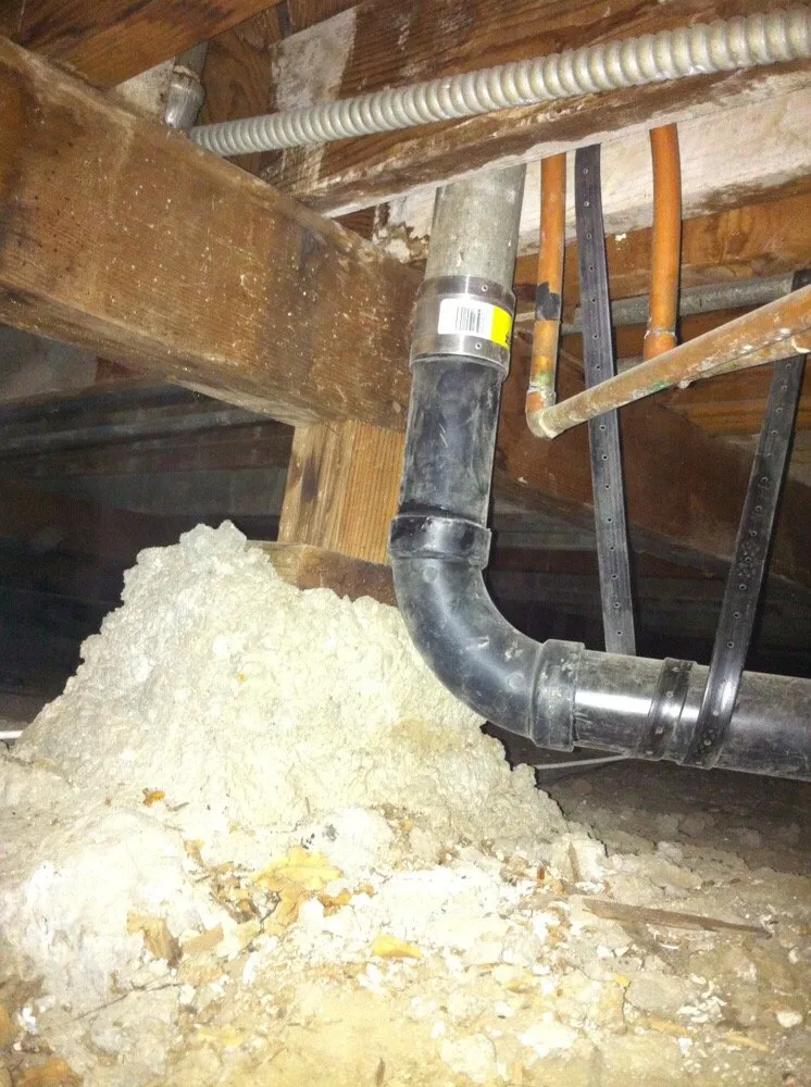 Top-rated plumbing repair in Valencia, CA by Shellback Plumbing and Drain