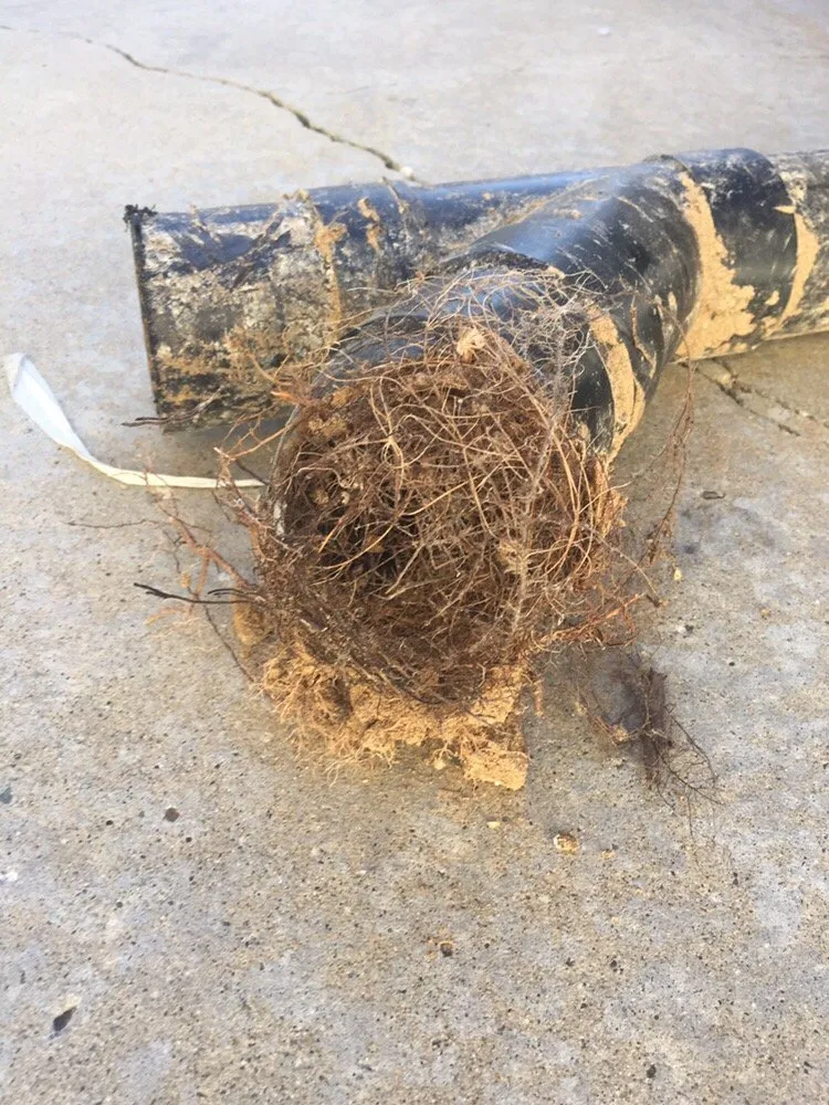 Affordable leak detection experts serving Valencia, CA - Shellback Plumbing and Drain