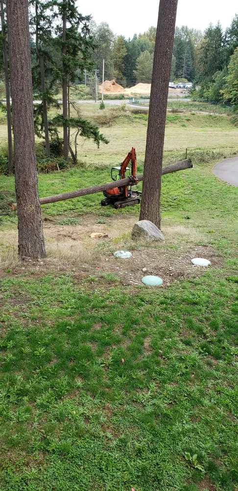 Slide of Shepherd's Tree Service and Excavation