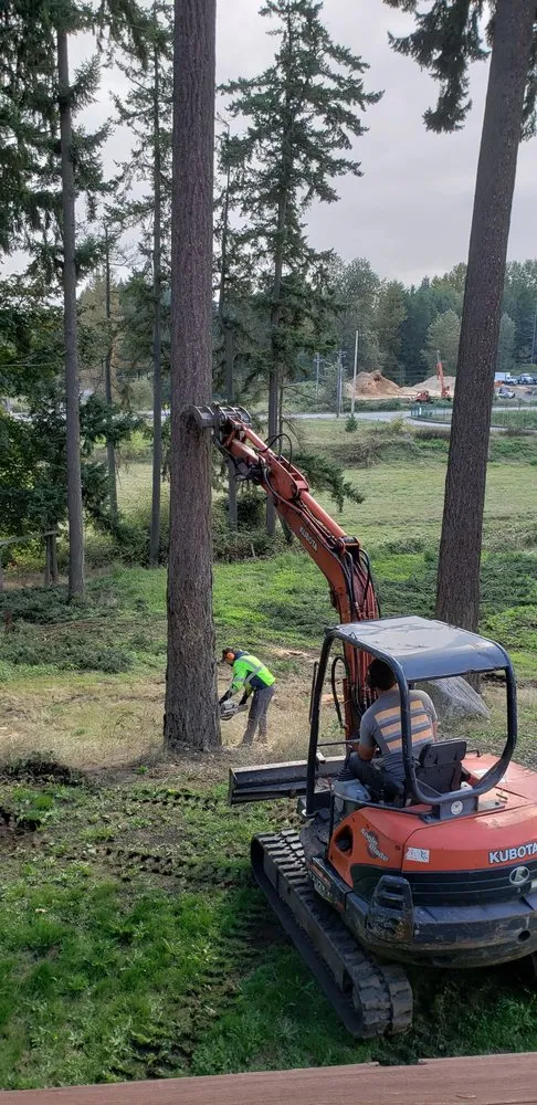 Slide of Shepherd's Tree Service and Excavation