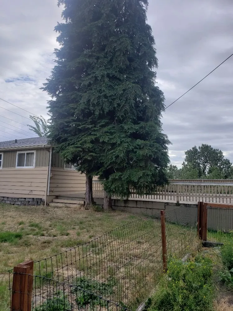 Slide of Shepherd's Tree Service and Excavation