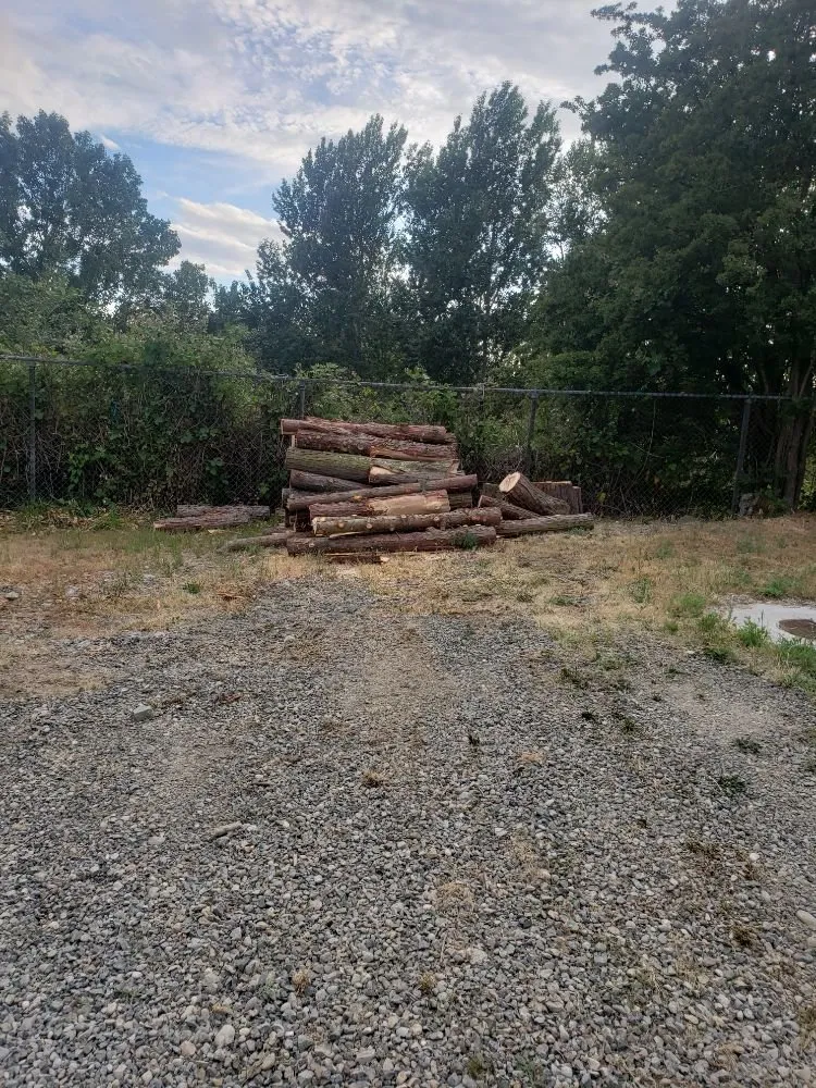 Slide of Shepherd's Tree Service and Excavation