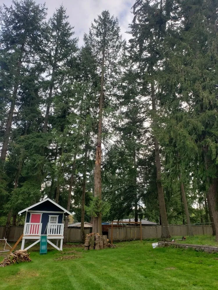 Affordable water heater service in Puyallup, WA by Shepherd's Tree Service and Excavation