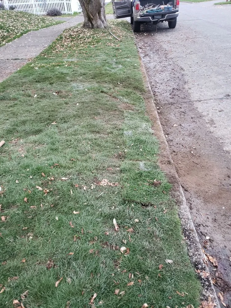 Trusted plumbing repair in Puyallup, WA by Shepherd's Tree Service and Excavation