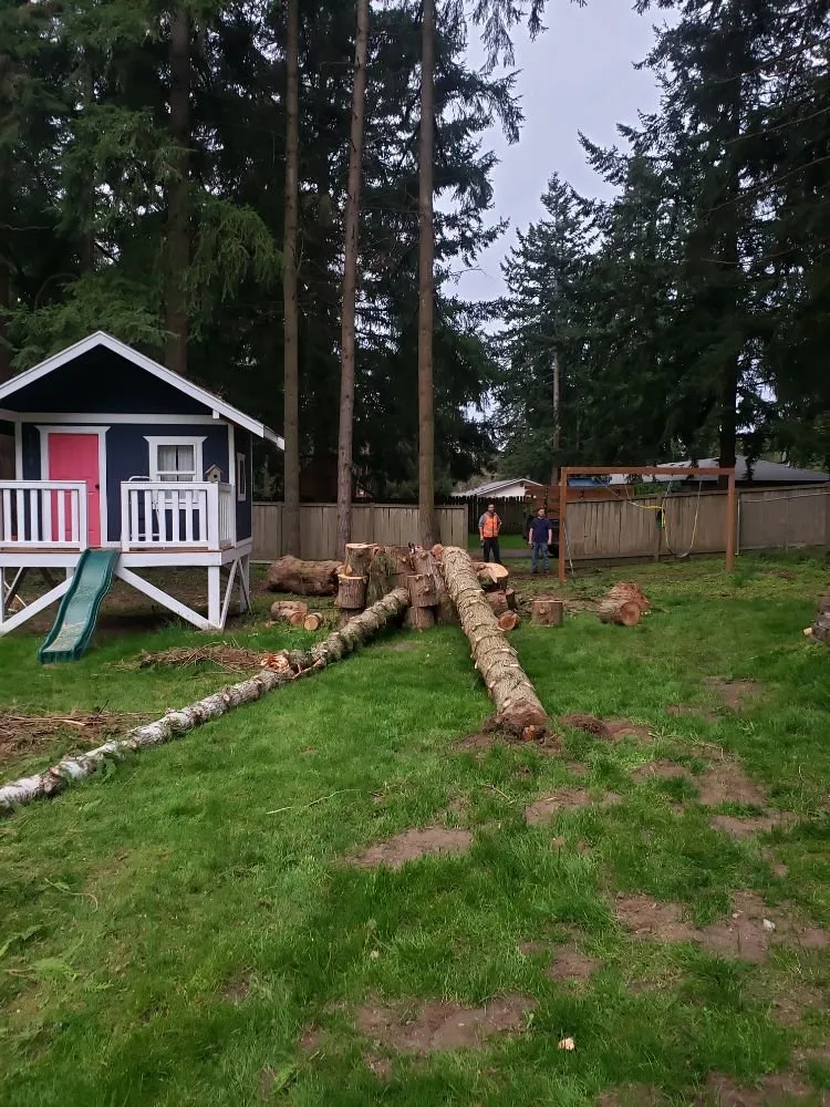 Emergency leak detection service in Puyallup, WA - Shepherd's Tree Service and Excavation