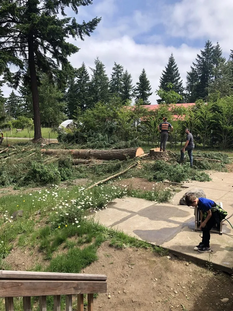 Reliable plumbing repair in Puyallup, WA by Shepherd's Tree Service and Excavation