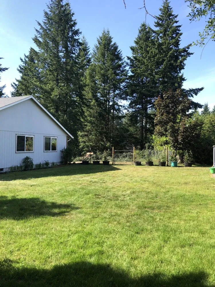 Quality emergency plumbing for homes in Puyallup, WA by Shepherd's Tree Service and Excavation