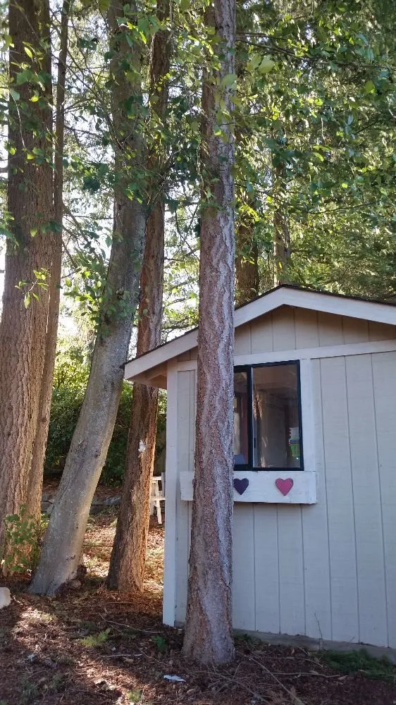 Slide of Shepherd's Tree Service and Excavation