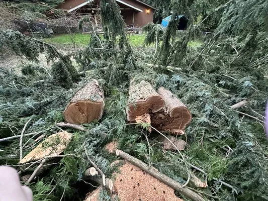 Shepherd's Tree Service and Excavation Logo