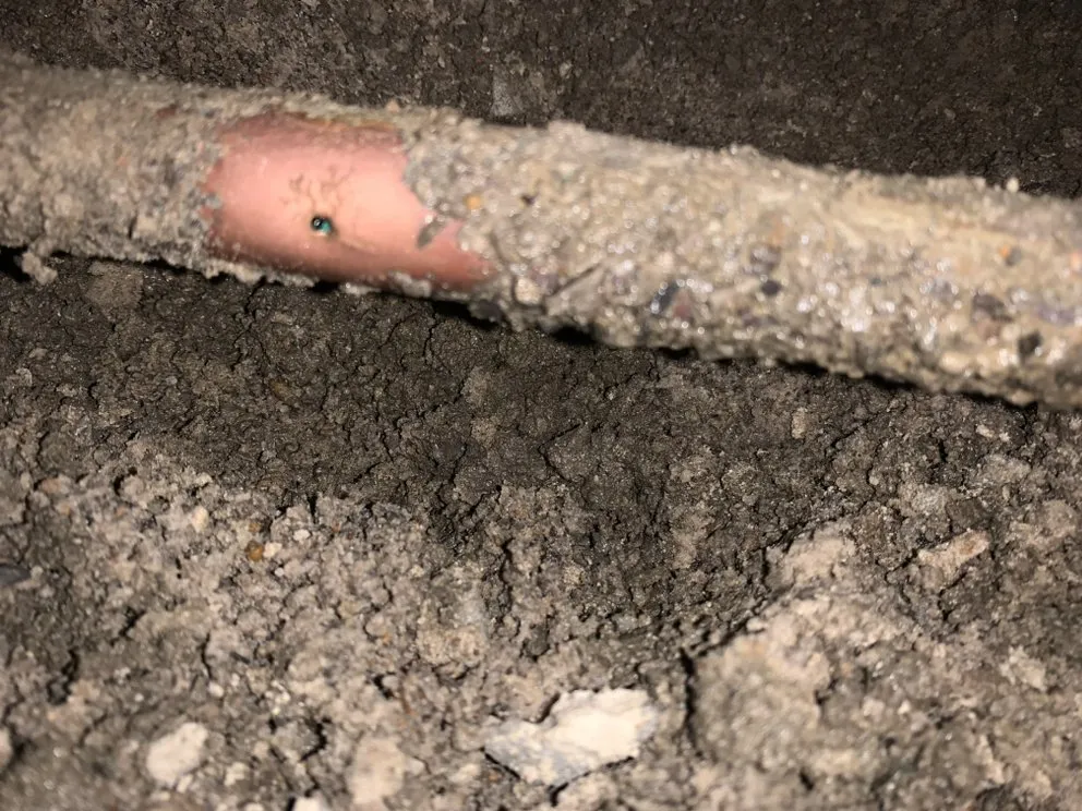 Slide of Sherlock Holmes Leak Detection