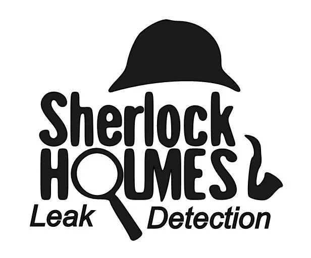 Slide of Sherlock Holmes Leak Detection