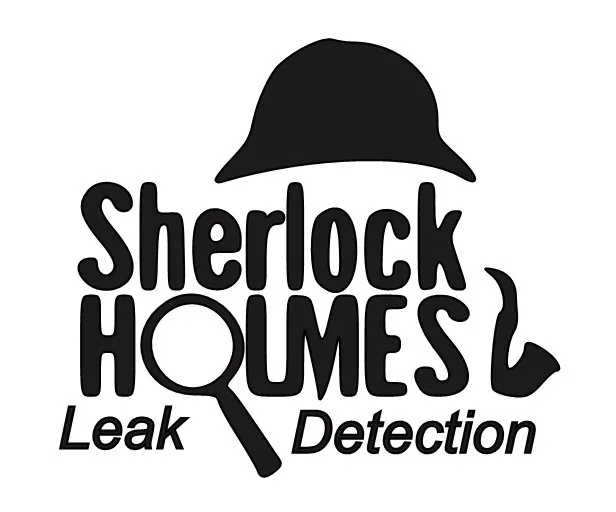 Slide of Sherlock Holmes Leak Detection