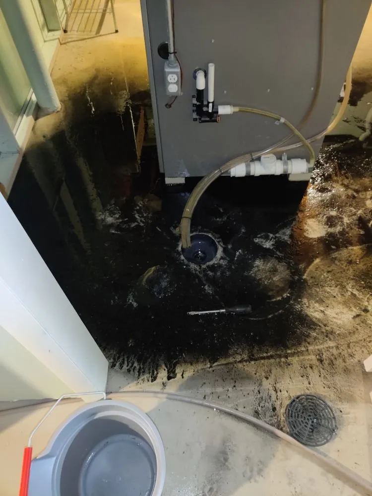 Slide of Sherlock Holmes