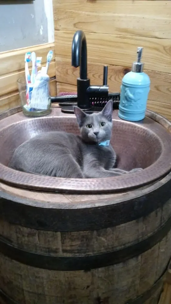 Trusted leak detection in Princeton, TX by She's Pretty Handy