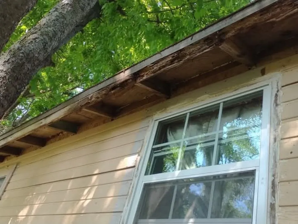 Reliable leak detection experts serving Princeton, TX - She's Pretty Handy