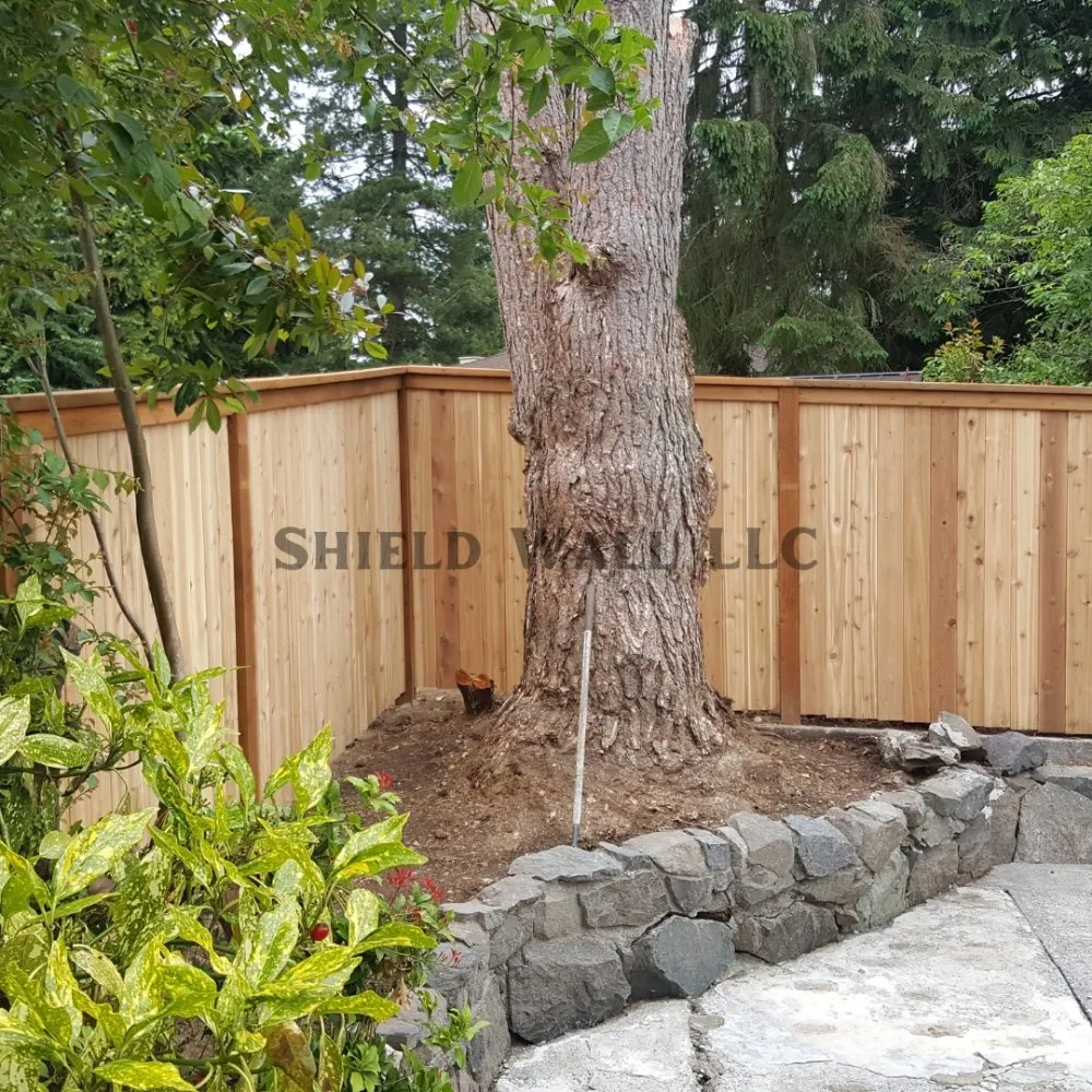 Slide of Shield Wall