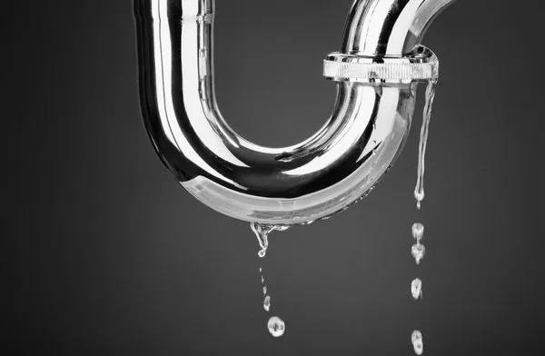 Shields Plumbing Logo