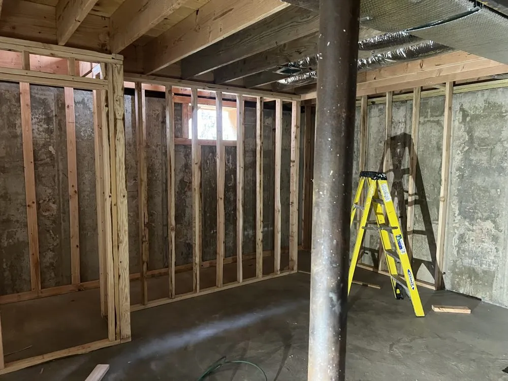 Slide of Shiraz Alli