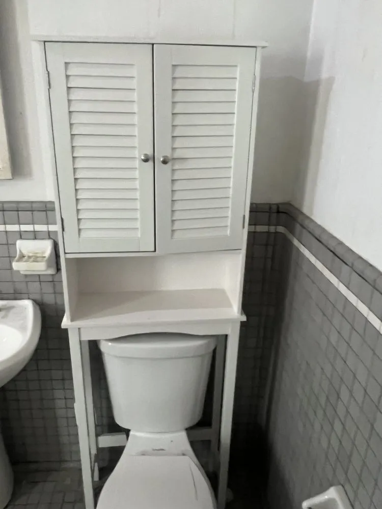 Slide of Shiraz Alli