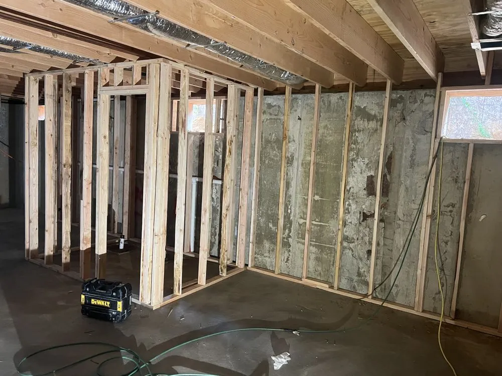 Slide of Shiraz Alli