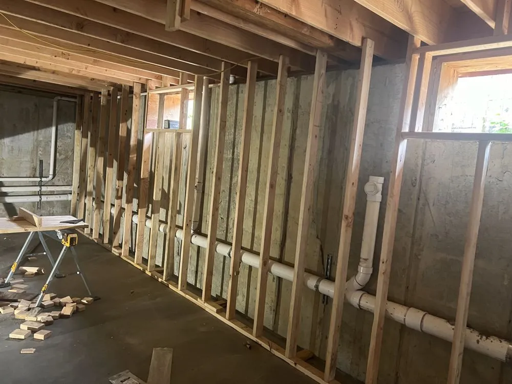 Slide of Shiraz Alli