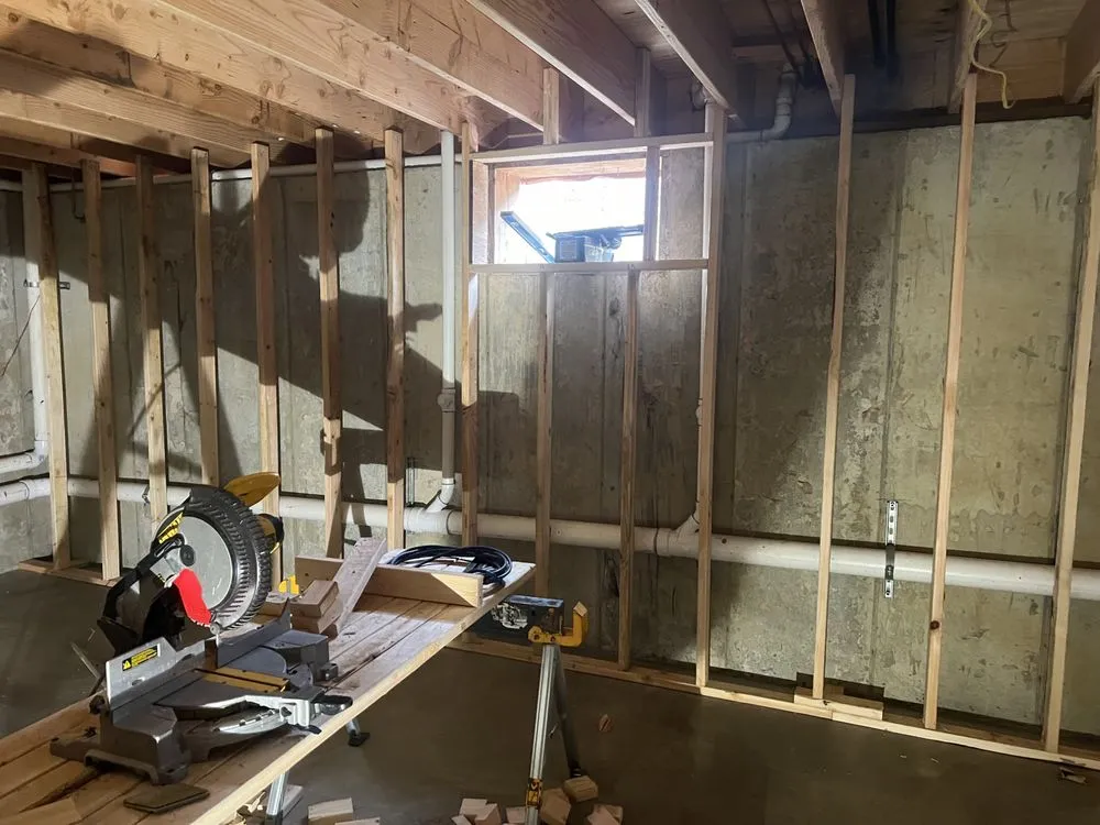 Slide of Shiraz Alli