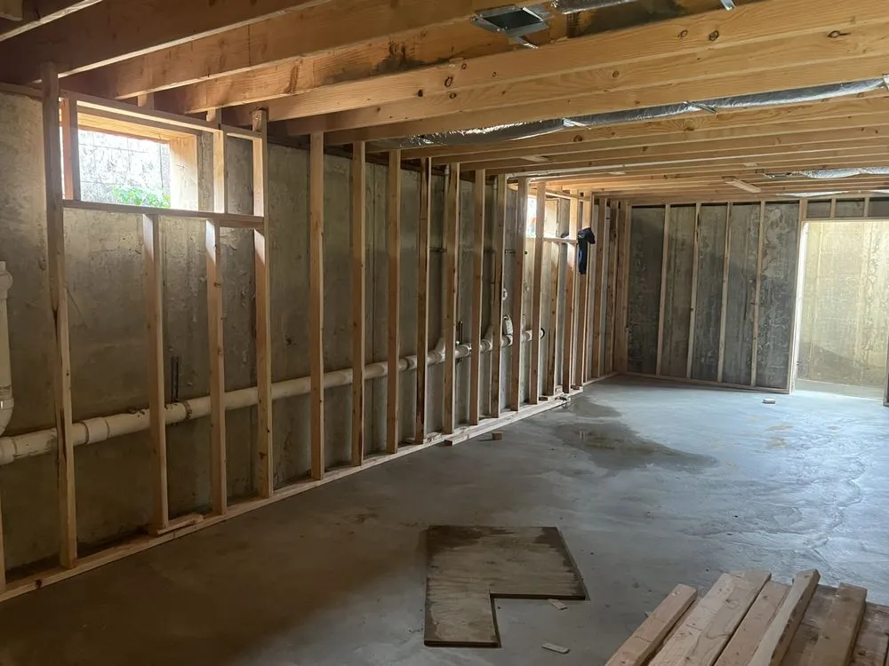 Slide of Shiraz Alli