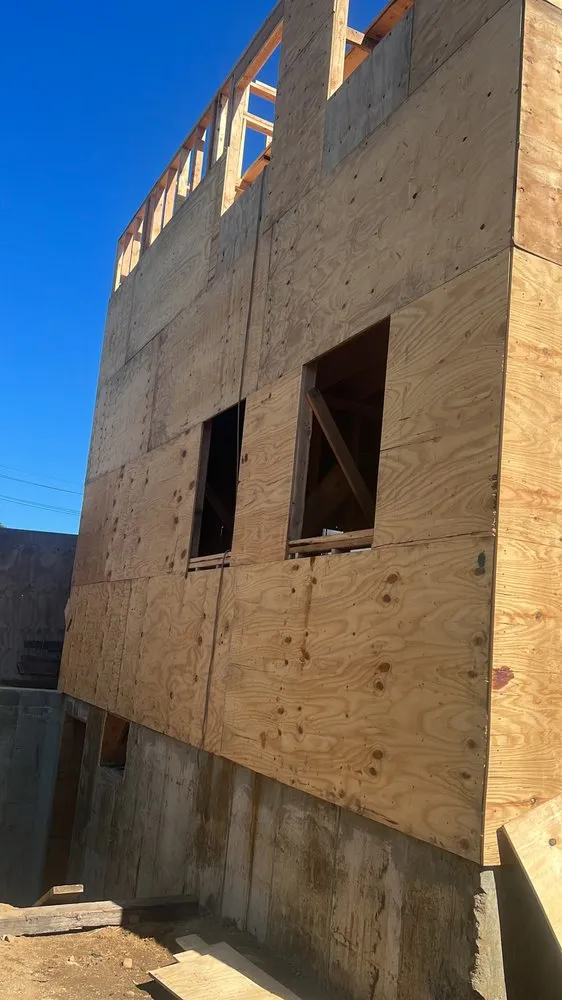 Slide of Shiraz Alli