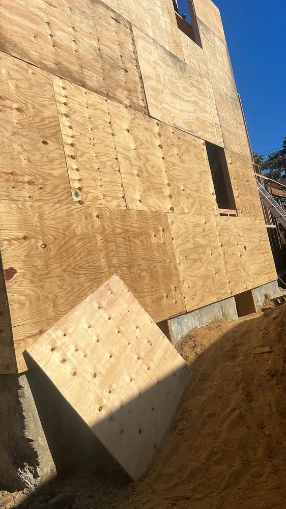 Slide of Shiraz Alli