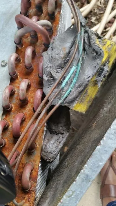 Slide of Shirley Air