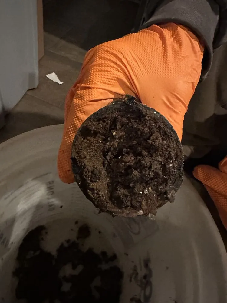 Professional pipe repair for homes in Anaheim, CA by Shirran Plumbing