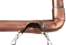 Slide of Shogun Services