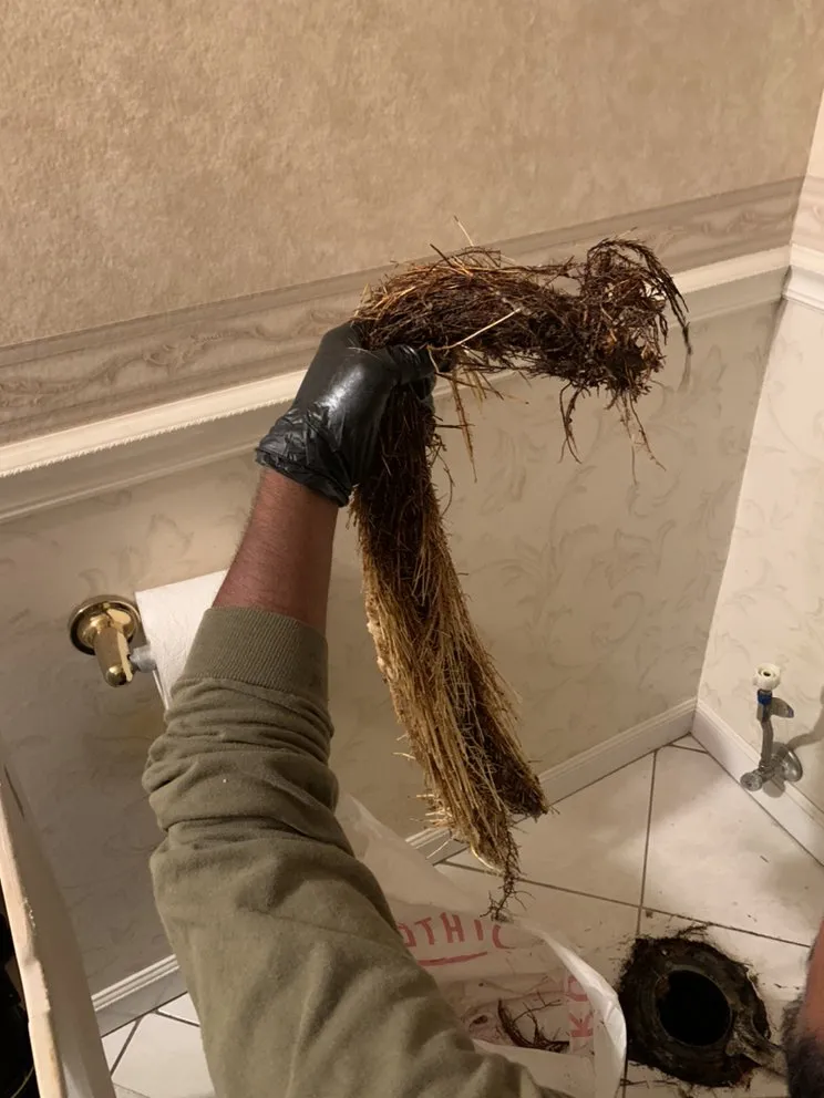 Emergency drain cleaning experts serving Santa Ana, CA - Shorty’s Plumbing & rooter