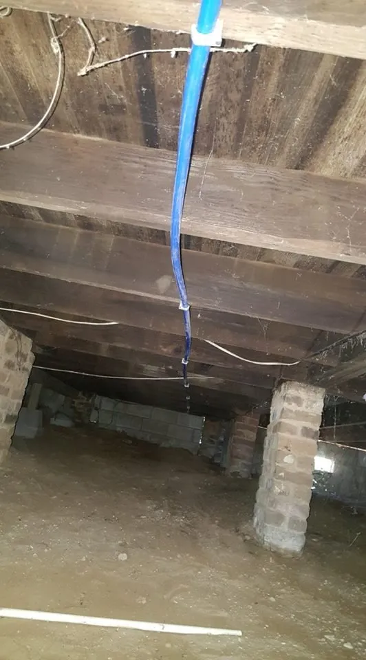 Slide of Shreks Plumbing