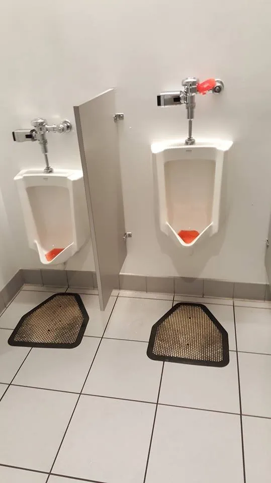 Slide of Shreks Plumbing